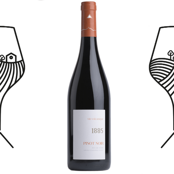 Côtes d'Auvergnes - Desprat Saint-Verny - 1885 Pinot noir - 75cl
