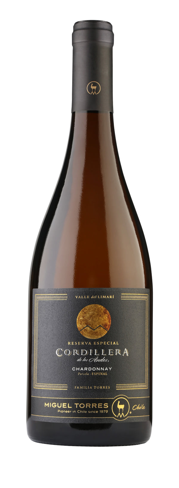 Maipu - Torres Chile - Chardonnay Cordilliera - 2019 - 75cl