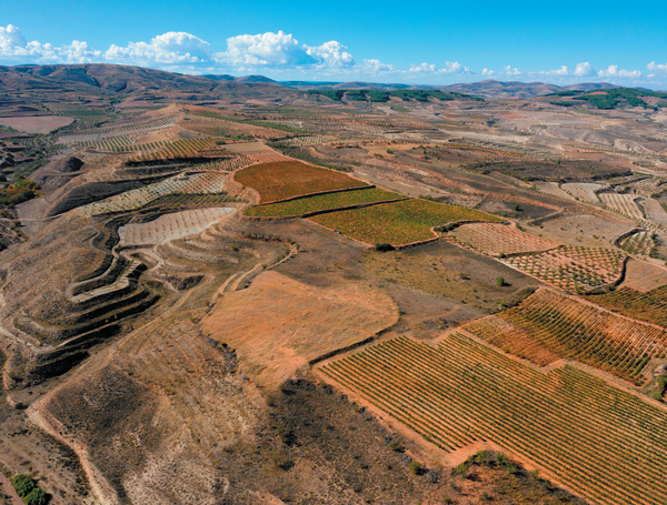Fine Wines | Not Only Wine Story
