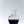 Laad afbeelding in Gallery viewer, Carafe apple NY | Not Only Wine Story
